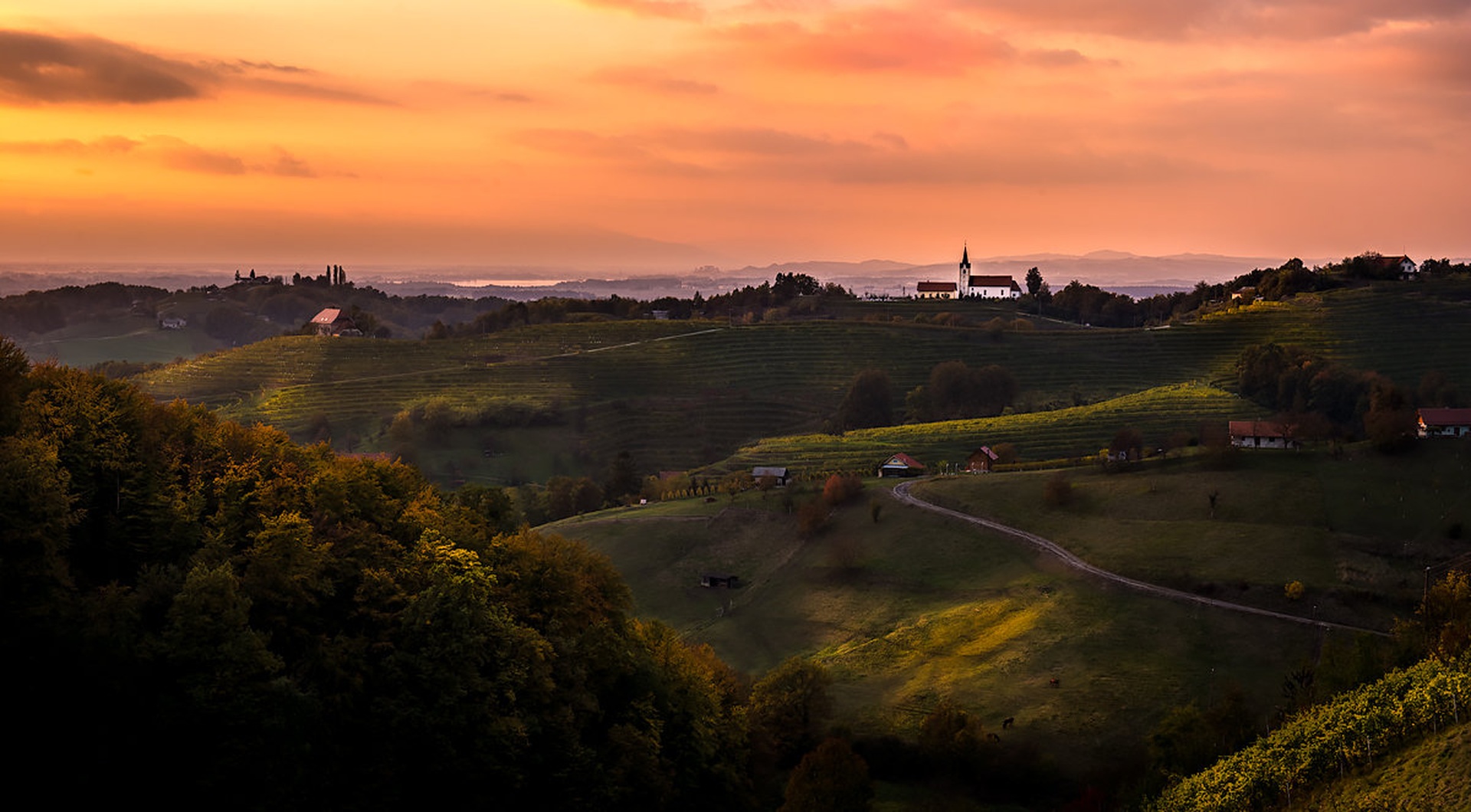 Up on the hill by Danijel Turnšek