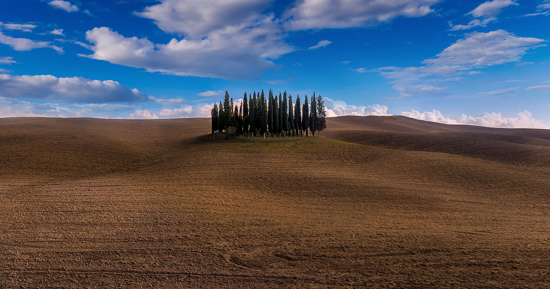 Cipressi di San Quirico d'Orcia by Danijel Turnšek
