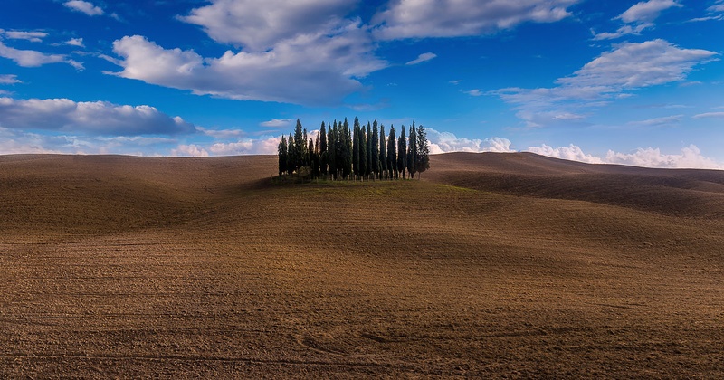 Cipressi di San Quirico d'Orcia by Danijel Turnšek