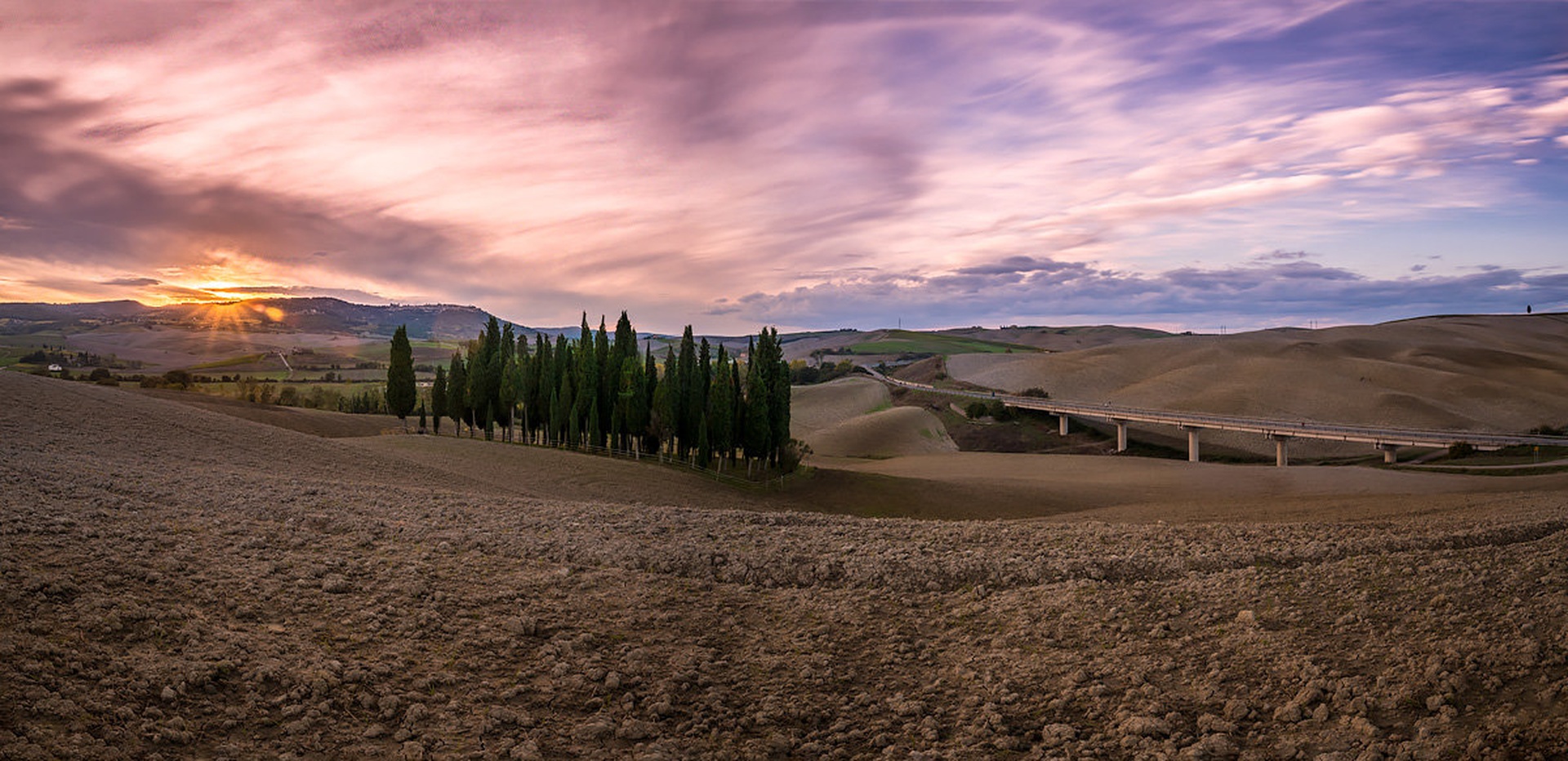 Cipressi di San Quirico d'Orcia by Danijel Turnšek