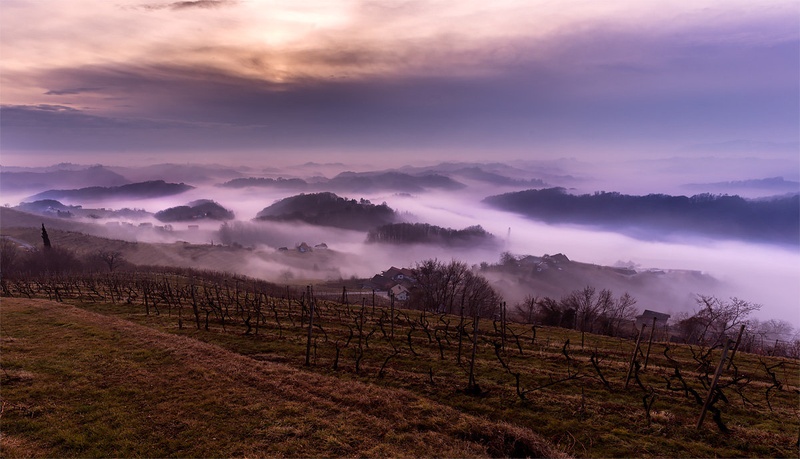 River of fog by Danijel Turnšek