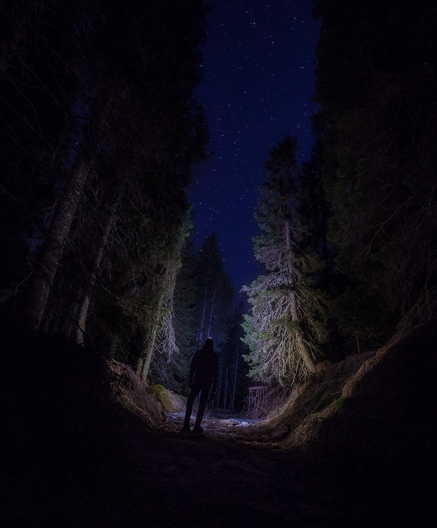 Alone in the dark... by Danijel Turnšek