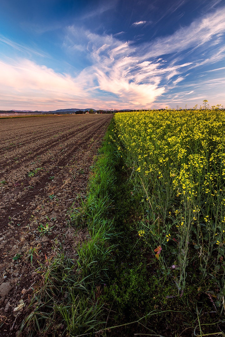 ''Colors of May'' by Danijel Turnšek