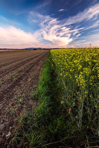 ''Colors of May'' by Danijel Turnšek