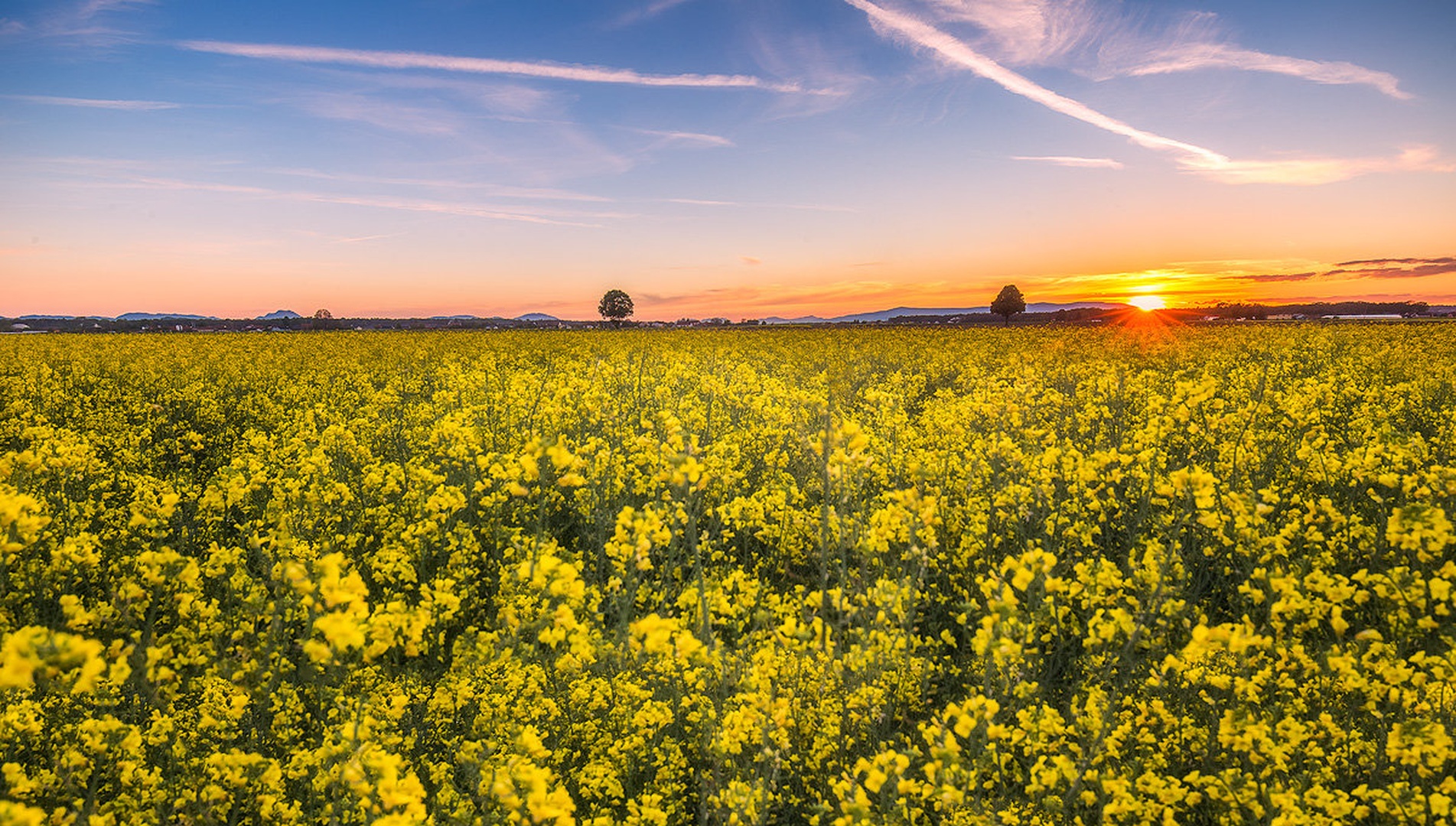 Colors of May II. by Danijel Turnšek