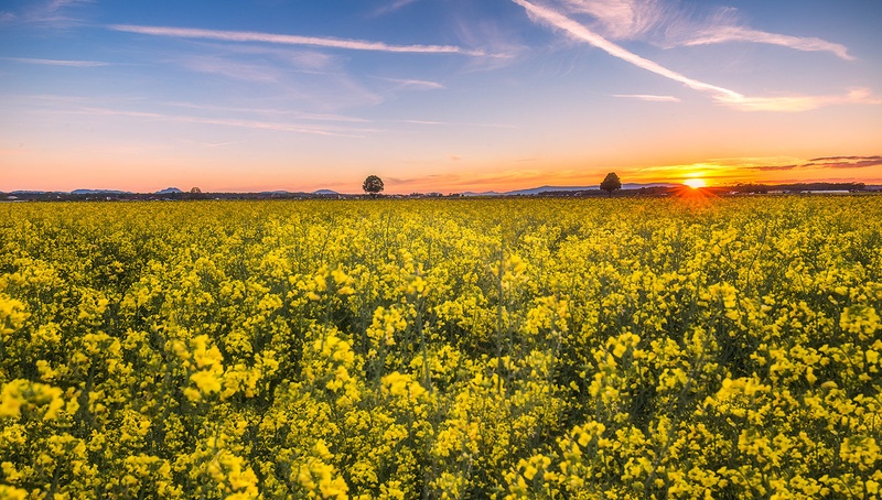 Colors of May II. by Danijel Turnšek