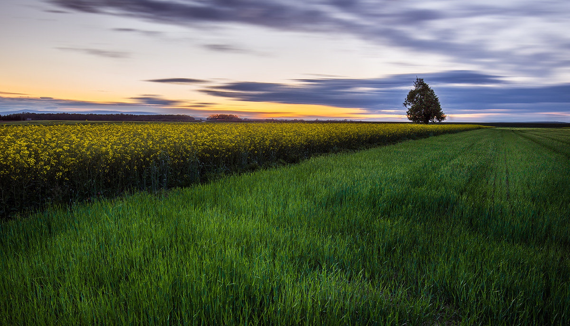 ''spring sunset'' by Danijel Turnšek