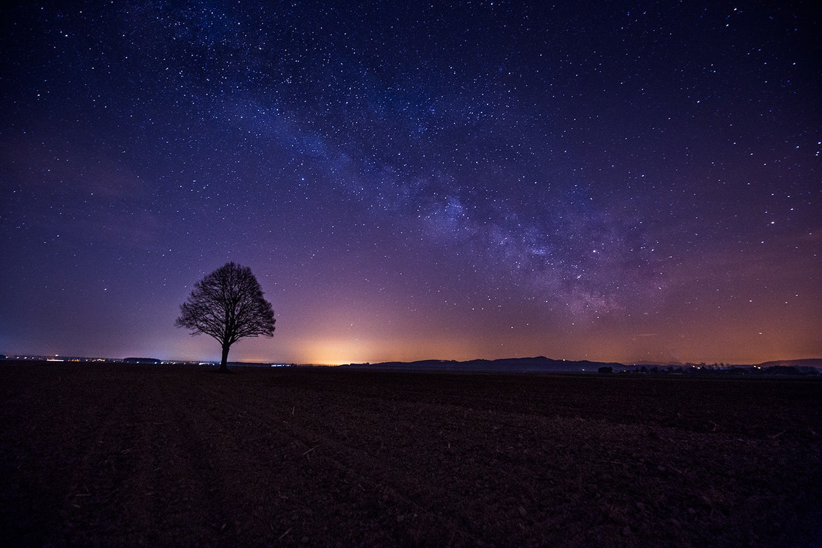 Lonely by Danijel Turnšek