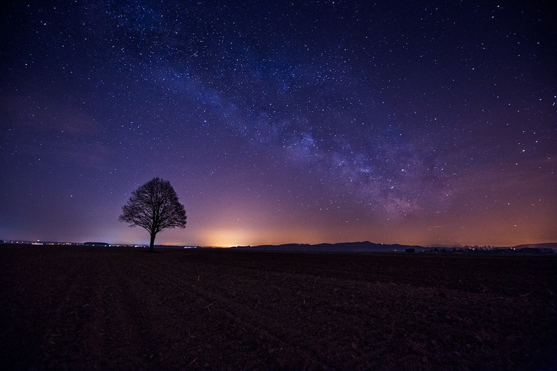 Lonely by Danijel Turnšek
