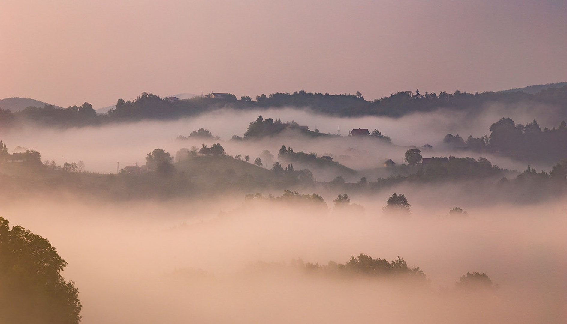 Through the fog by Danijel Turnšek
