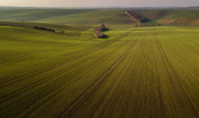 Moravske linije by Danijel Turnšek