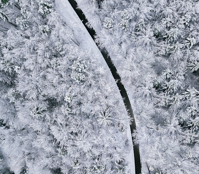Bela zima by Danijel Turnšek
