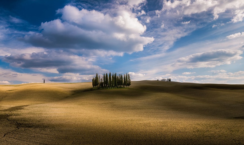 Cipressi di San Quirico d'Orcia by Danijel Turnšek