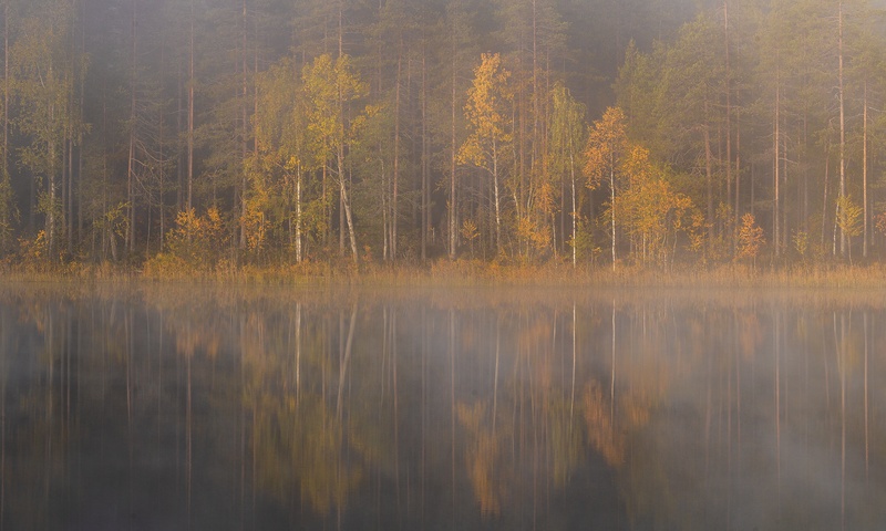 Misty lake by Danijel Turnšek
