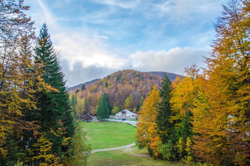 Sviščaki by tejo996