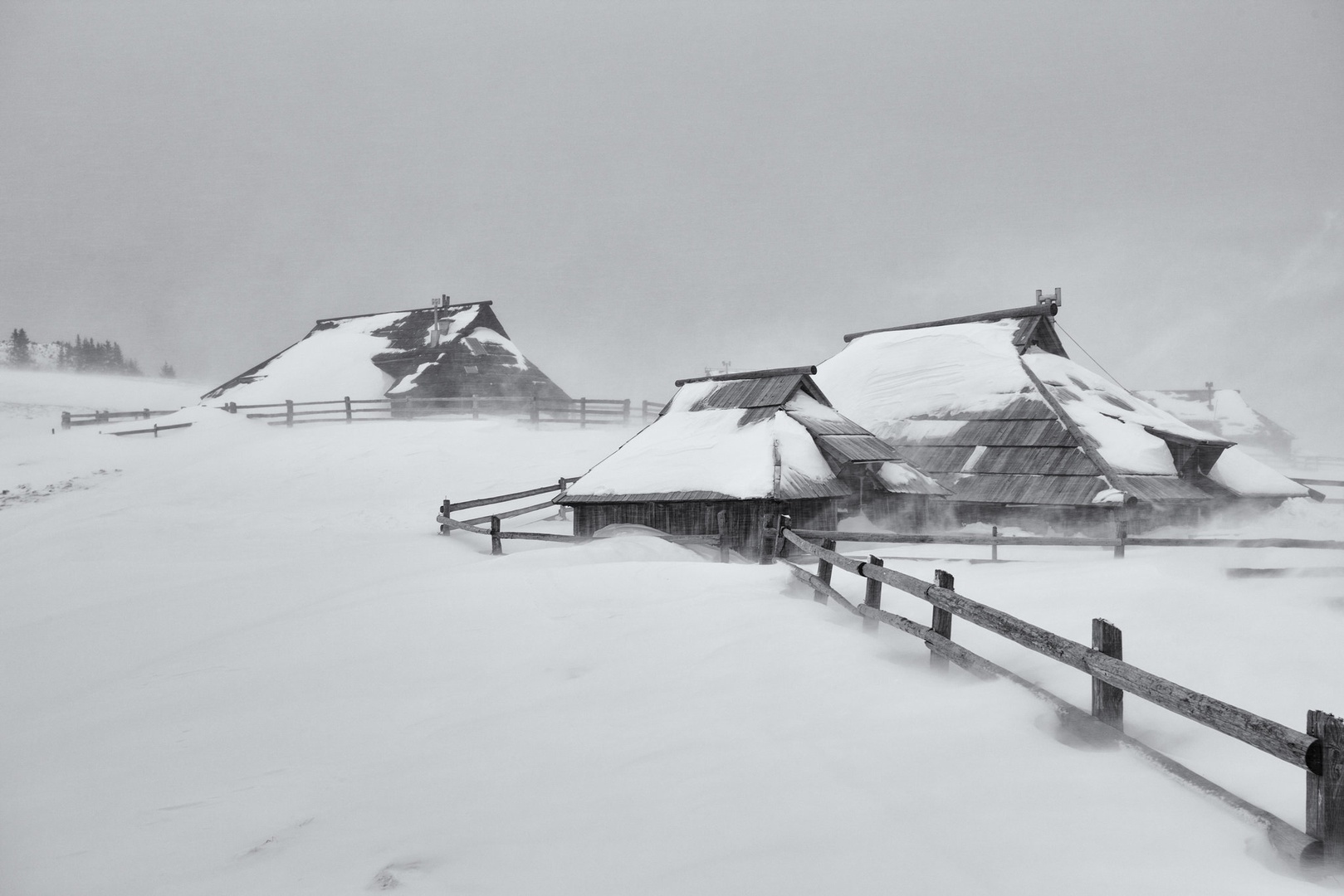 V snežnem metežu by Žiga Čamernik