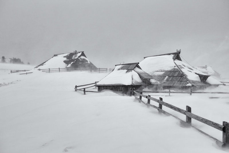 V snežnem metežu by Žiga Čamernik
