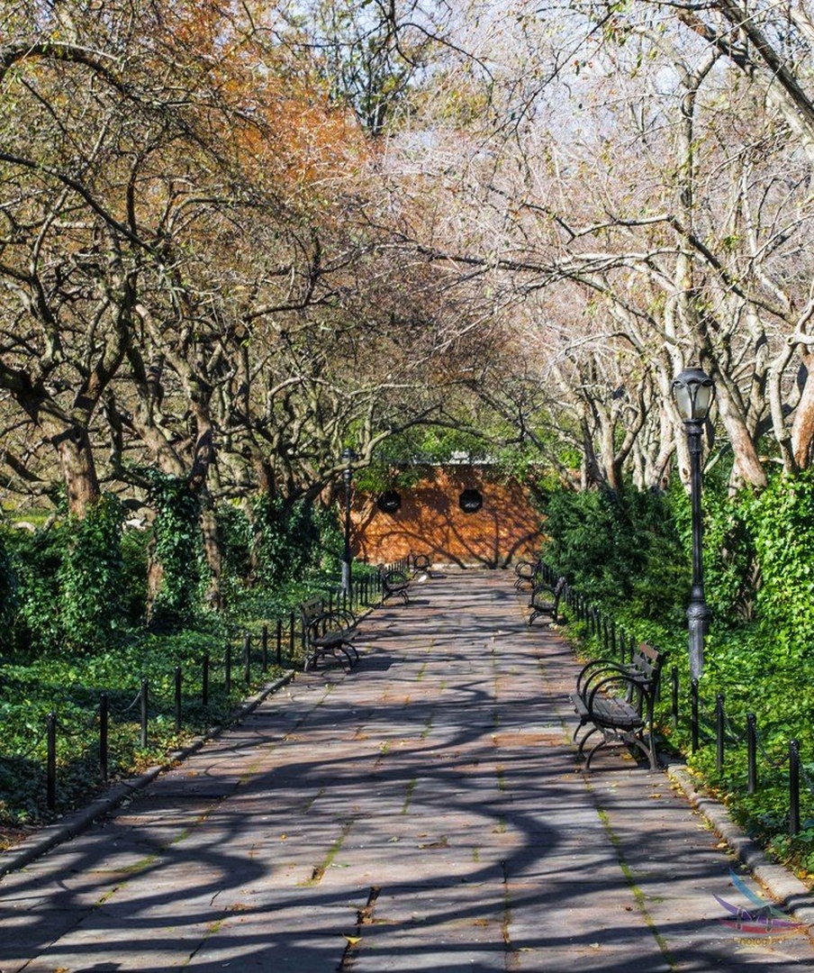 Central Park by Marko