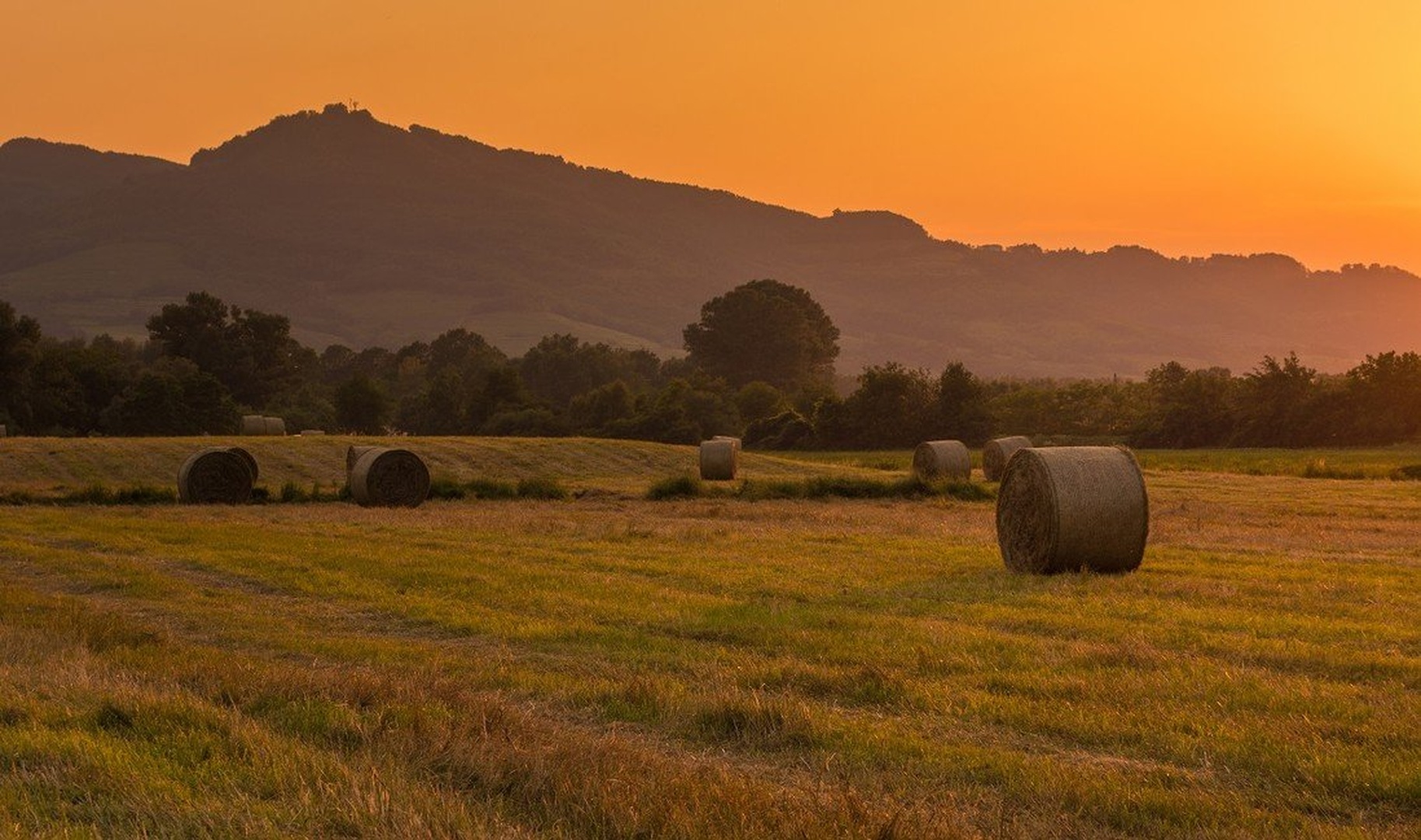 Bales of hay by Kevin Lozar