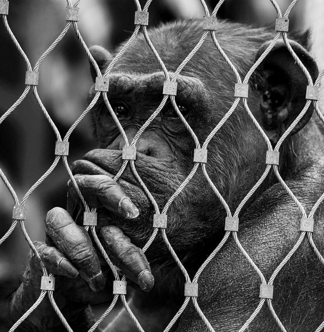 Why me?? by Kevin Lozar