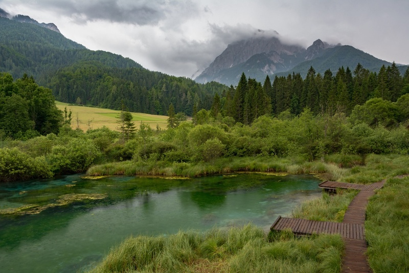 Zelenci by Kevin Lozar