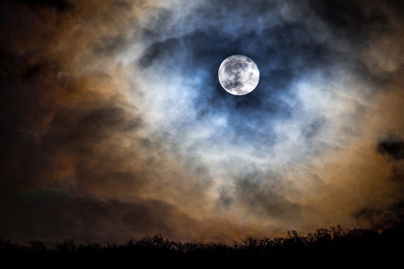 eye by Kevin Lozar
