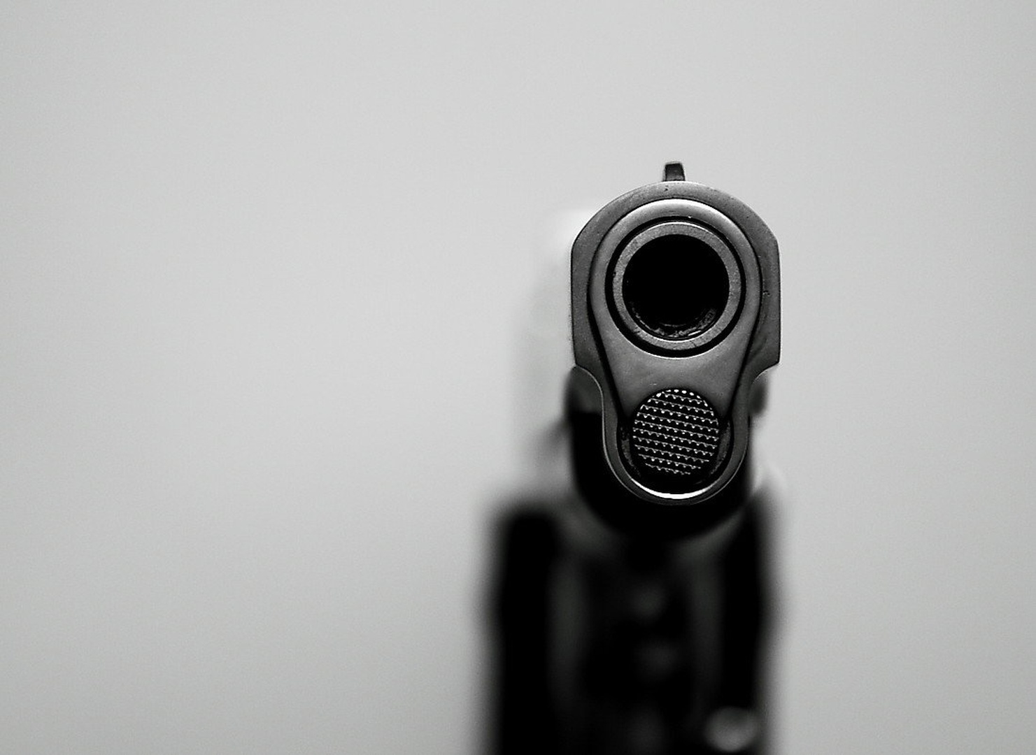 colt by sebastjan čebular