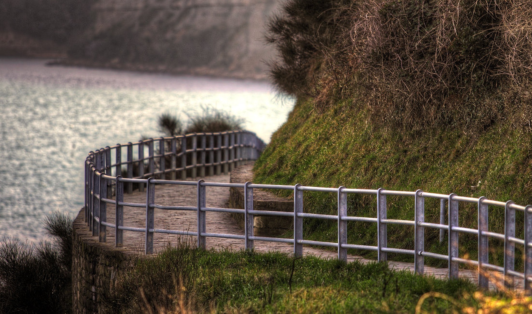 Path by sebastjan čebular