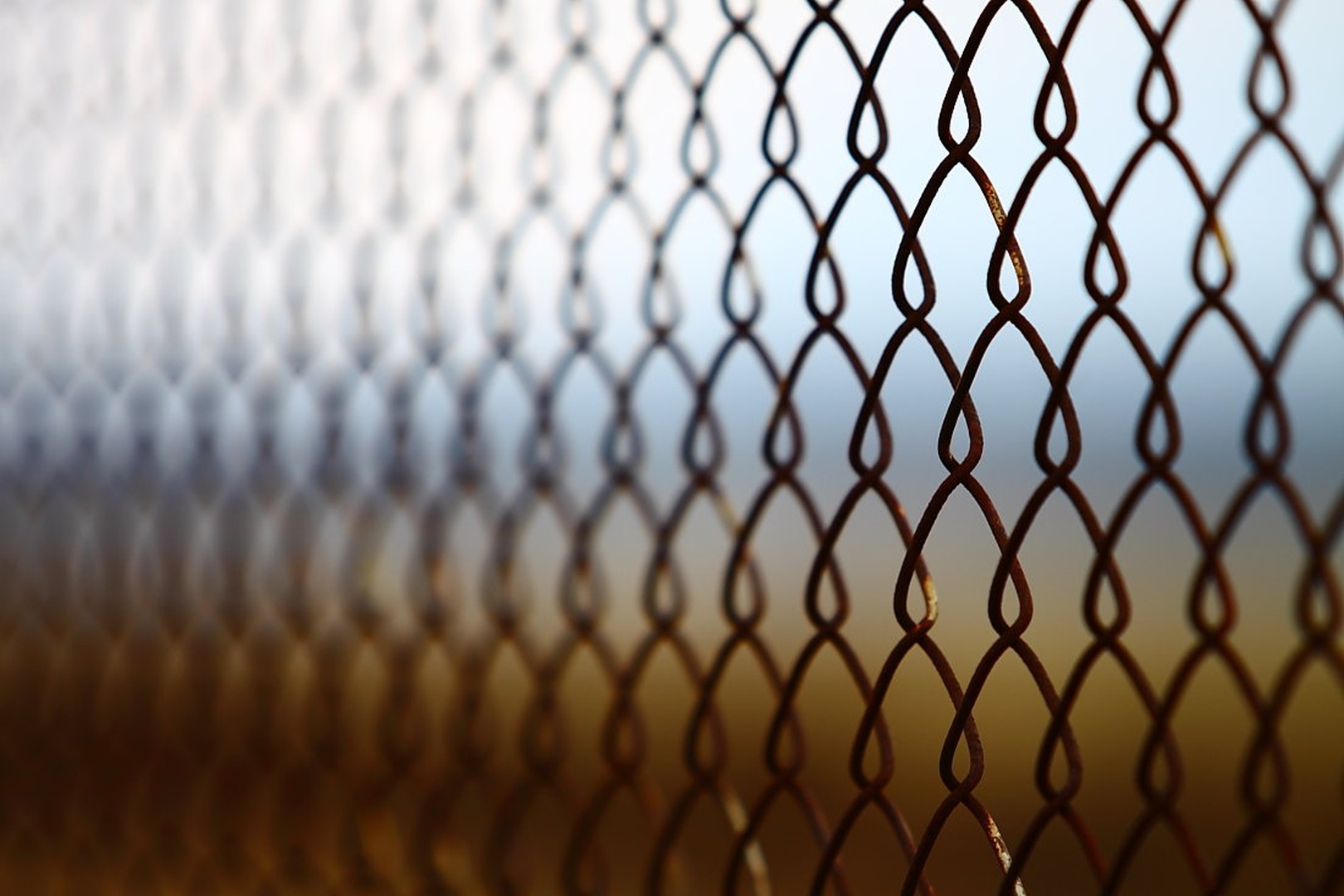 Fence by sebastjan čebular