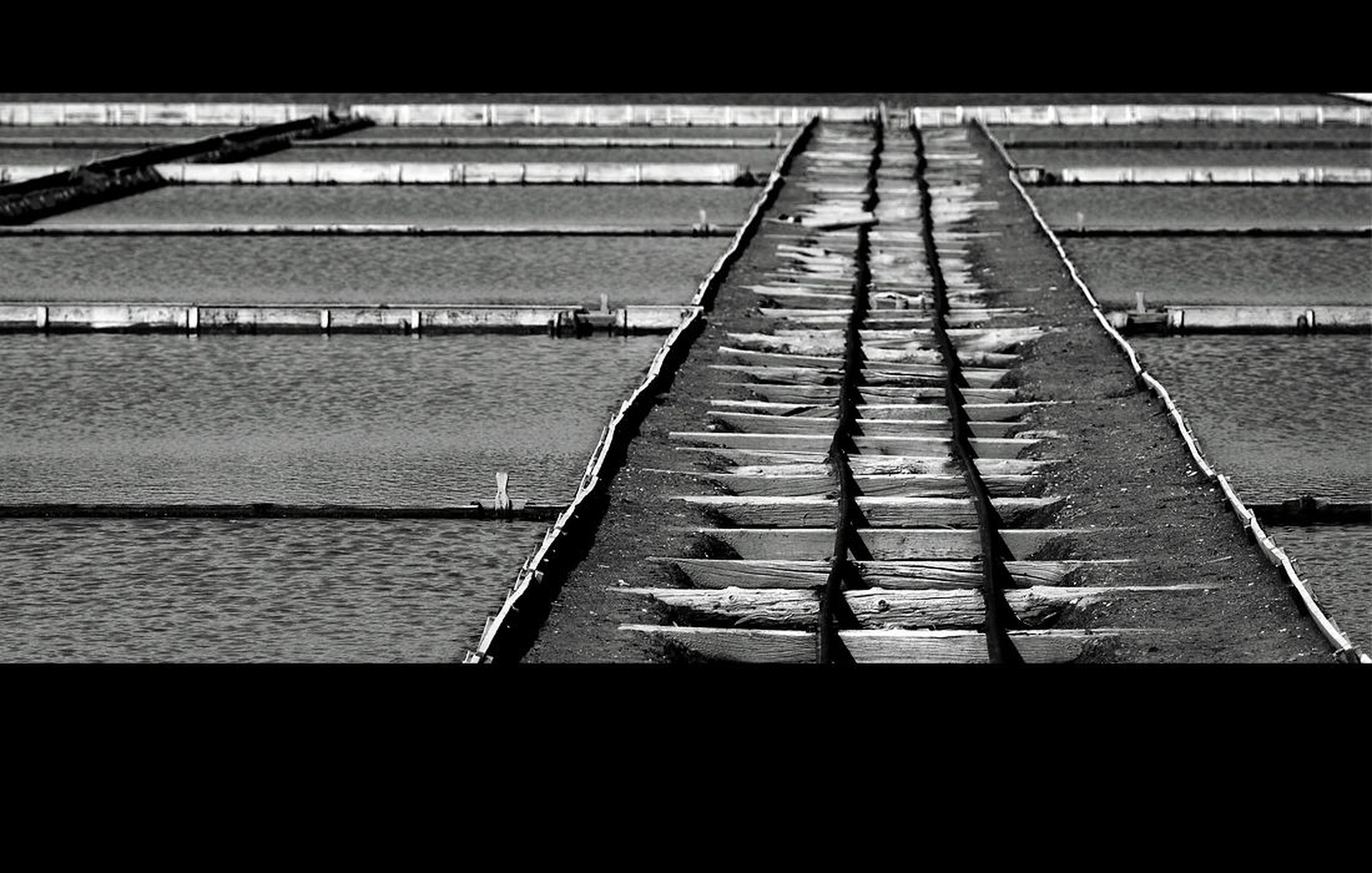 Rails by sebastjan čebular