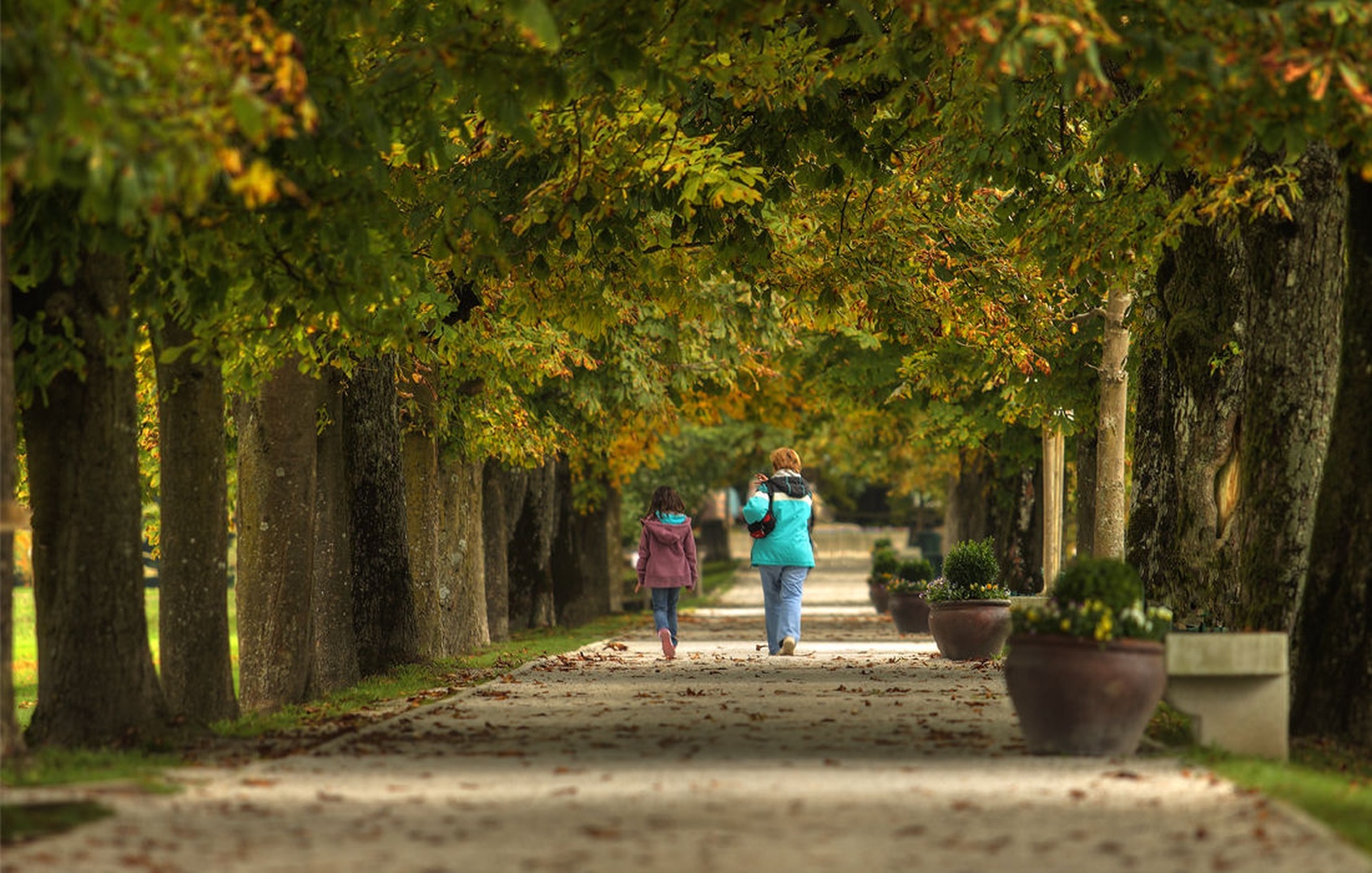 Autumn walk by sebastjan čebular
