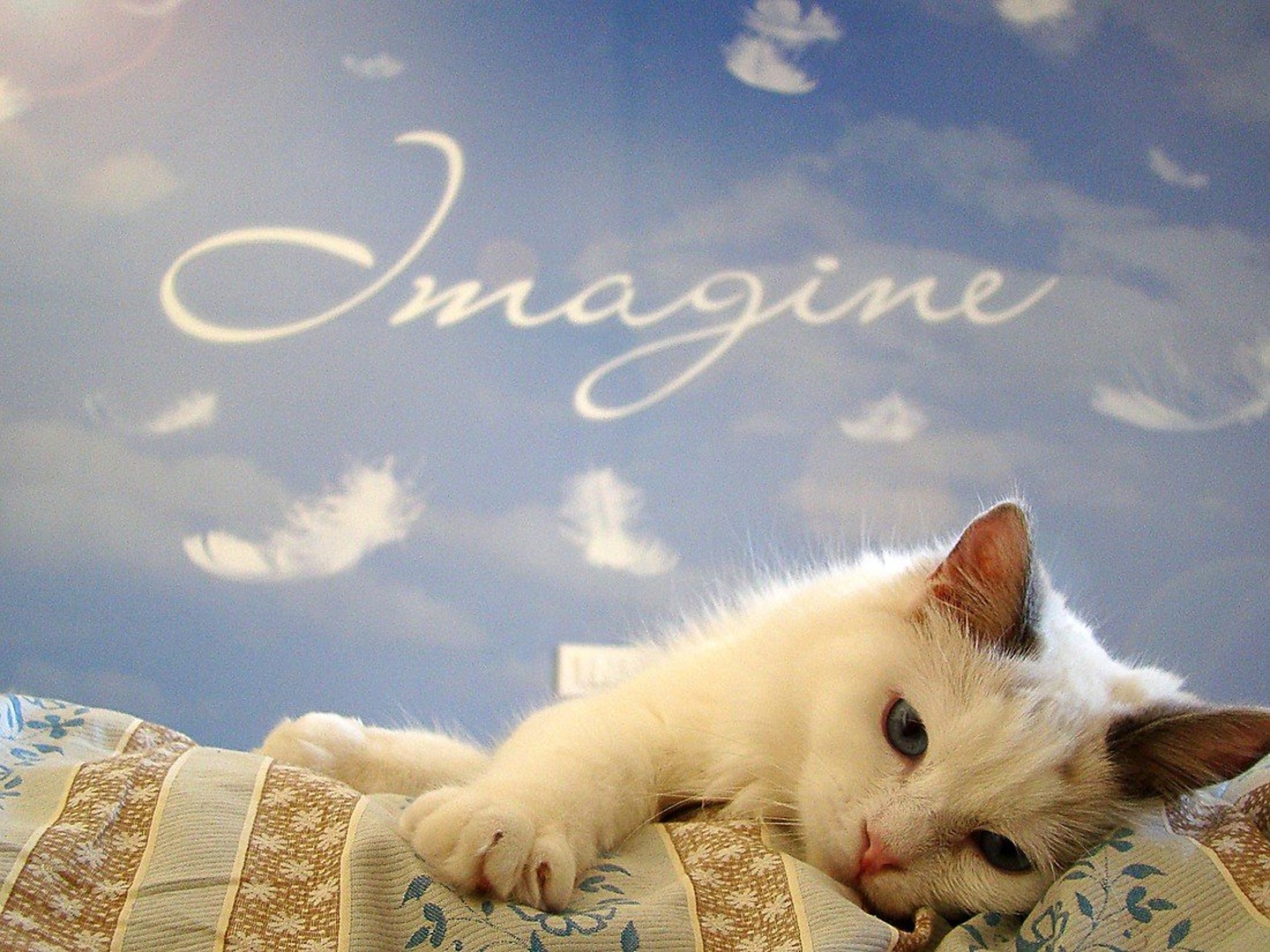 Imagine...what if... by