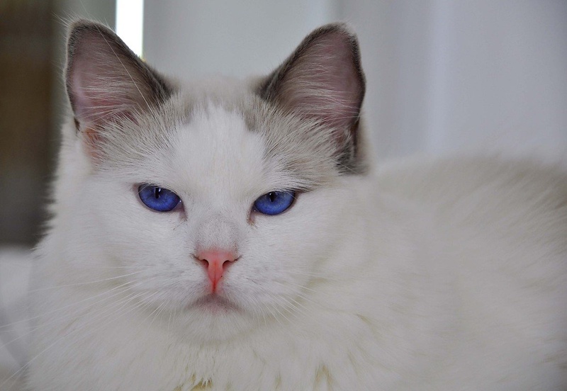 Grumpy... by Nancy