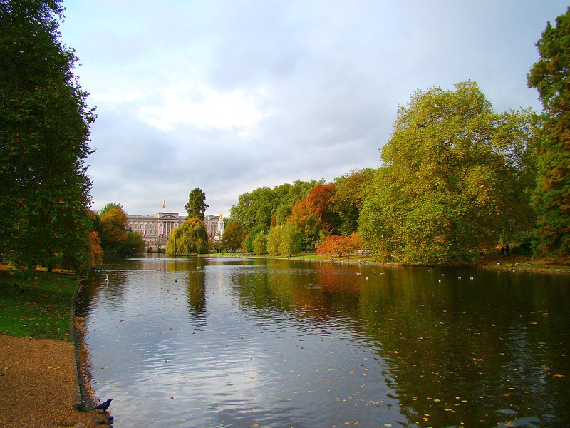 Buckingham palace by Nancy