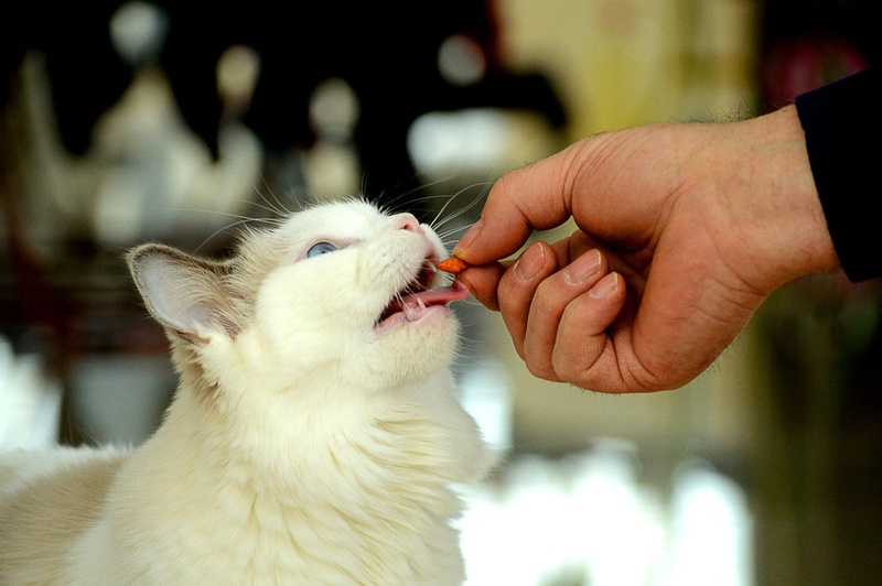 Mmmm.....še! by Nancy
