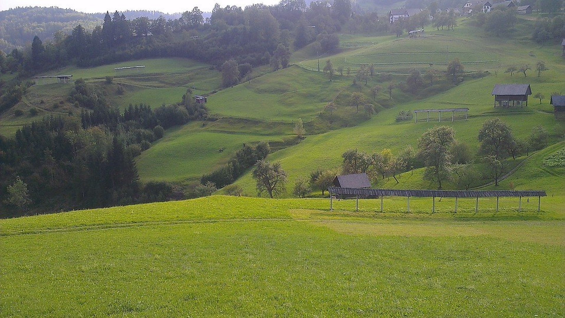 Griči by Bor Pirs