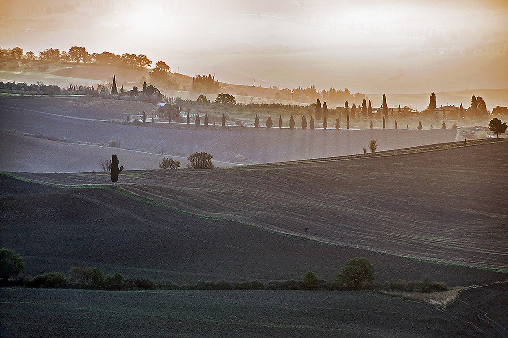 Jutro by juvena