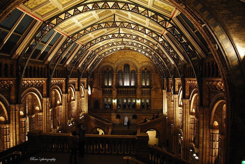 Natural history museum, London by Rene Dopler
