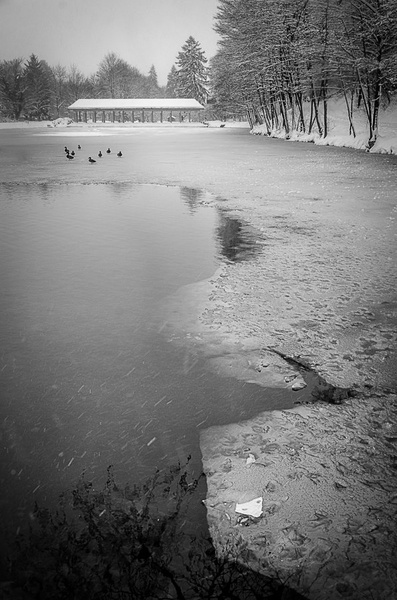 Winterscape by Splendid