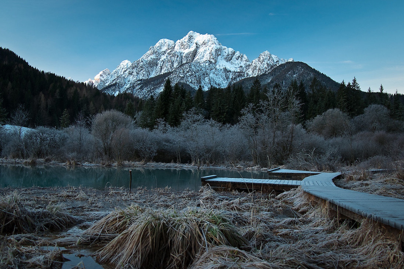 Zelenci by senka