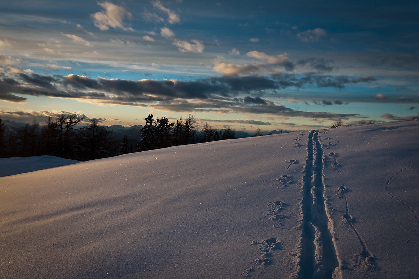 Sled by senka
