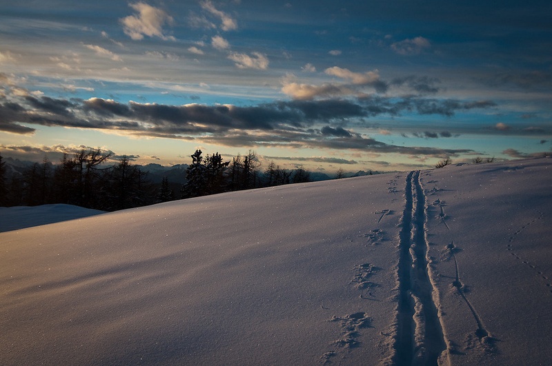 Sled by senka