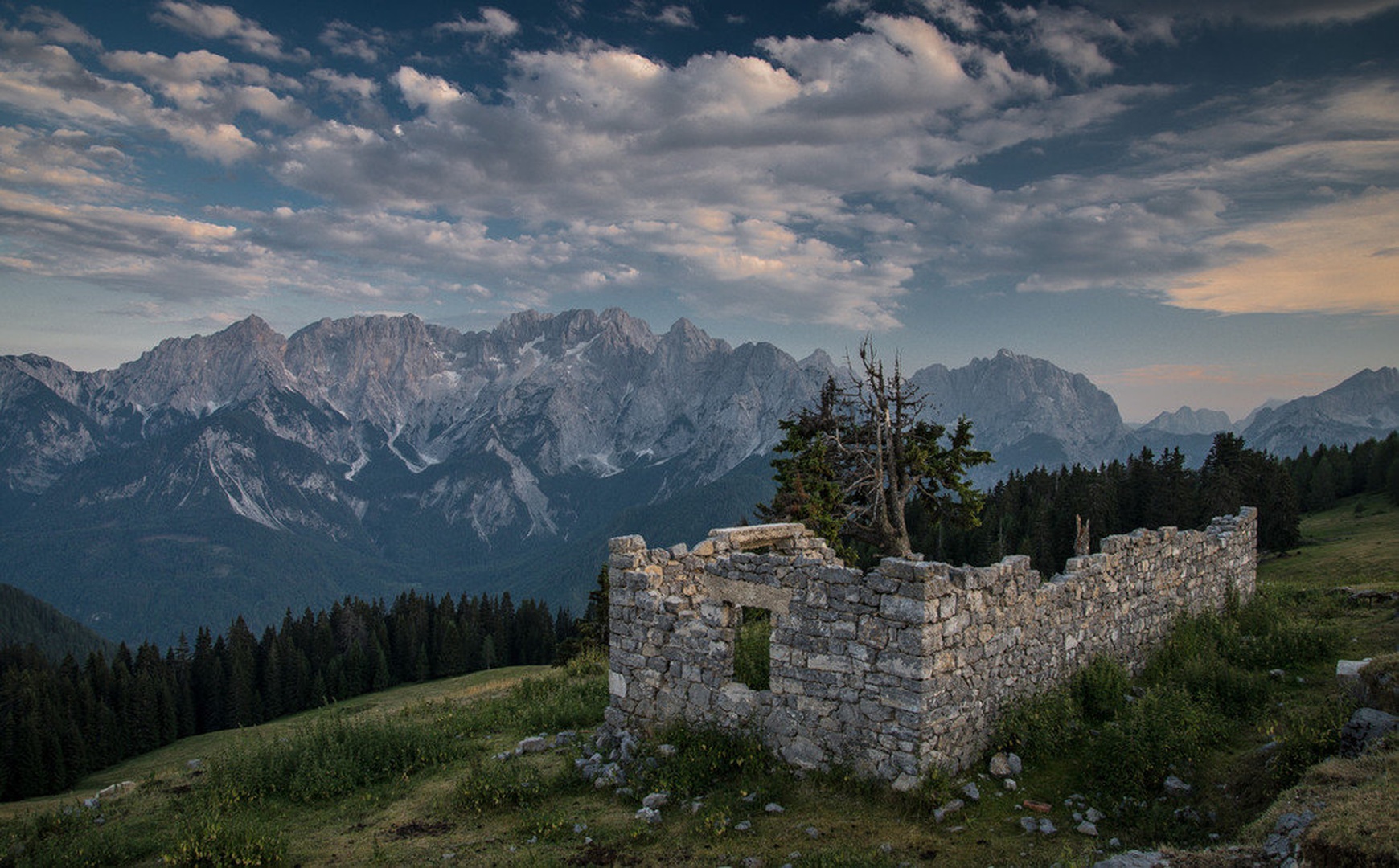 Vošca by senka