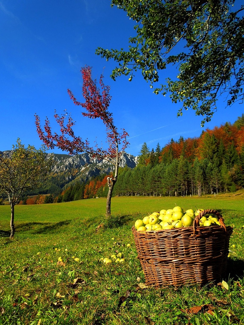 The Colours Of Autumn by Anže Sušel