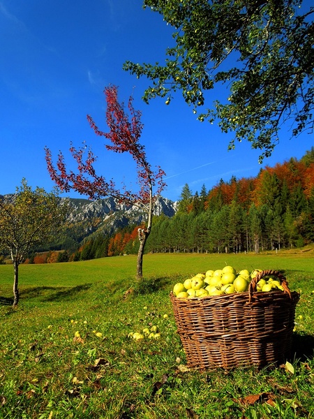 The Colours Of Autumn by Anže Sušel