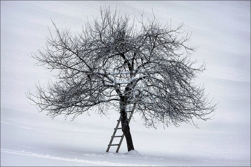 Na snežni podlagi by zlatko