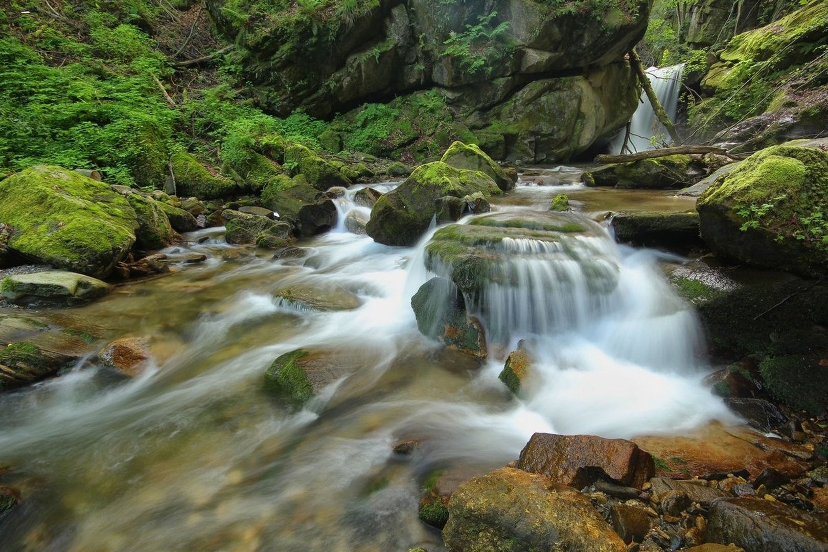 Padenikov šum by zlatko