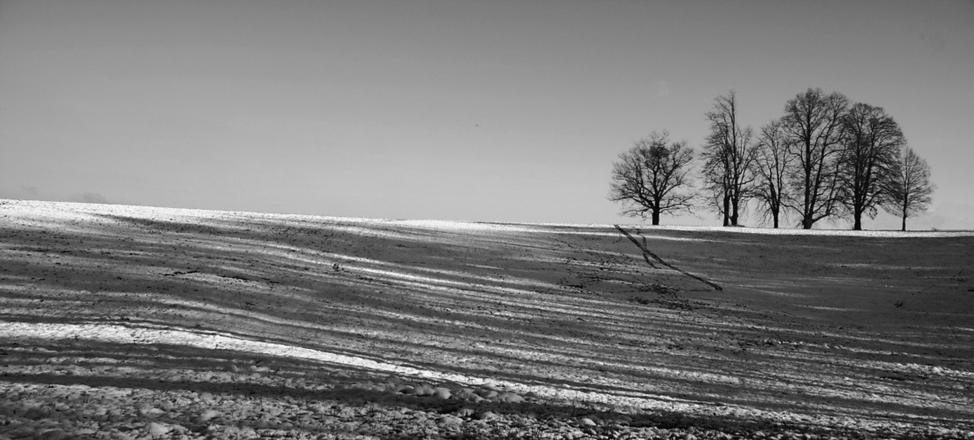 V vrsti by Jan Korošec