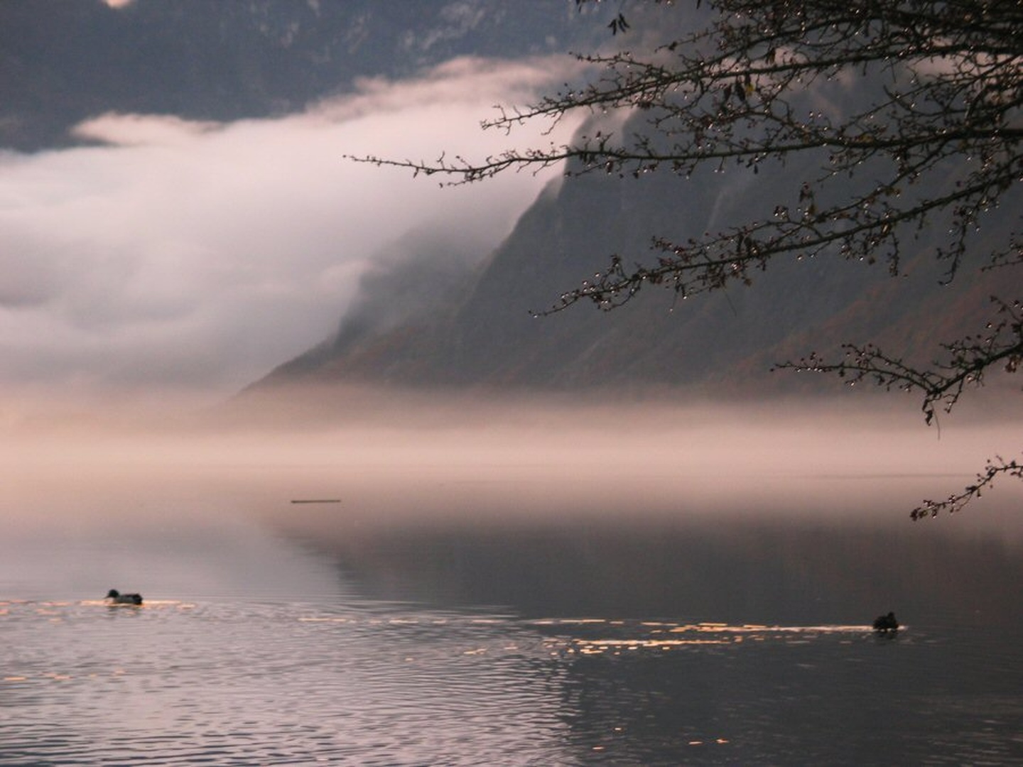 Bohinjsko jezero po dežju by