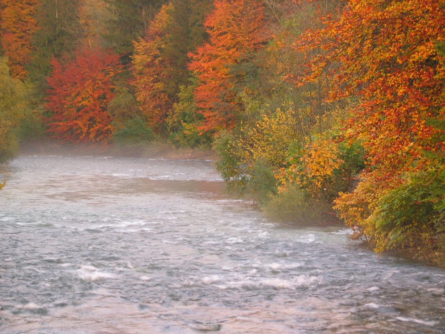 Sava by